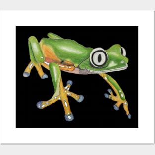 Lemur Leaf Frog Drawing Posters and Art